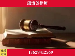 阳江-疑难刑事案件处理