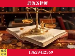 阳江-委托诉讼代理人出庭
